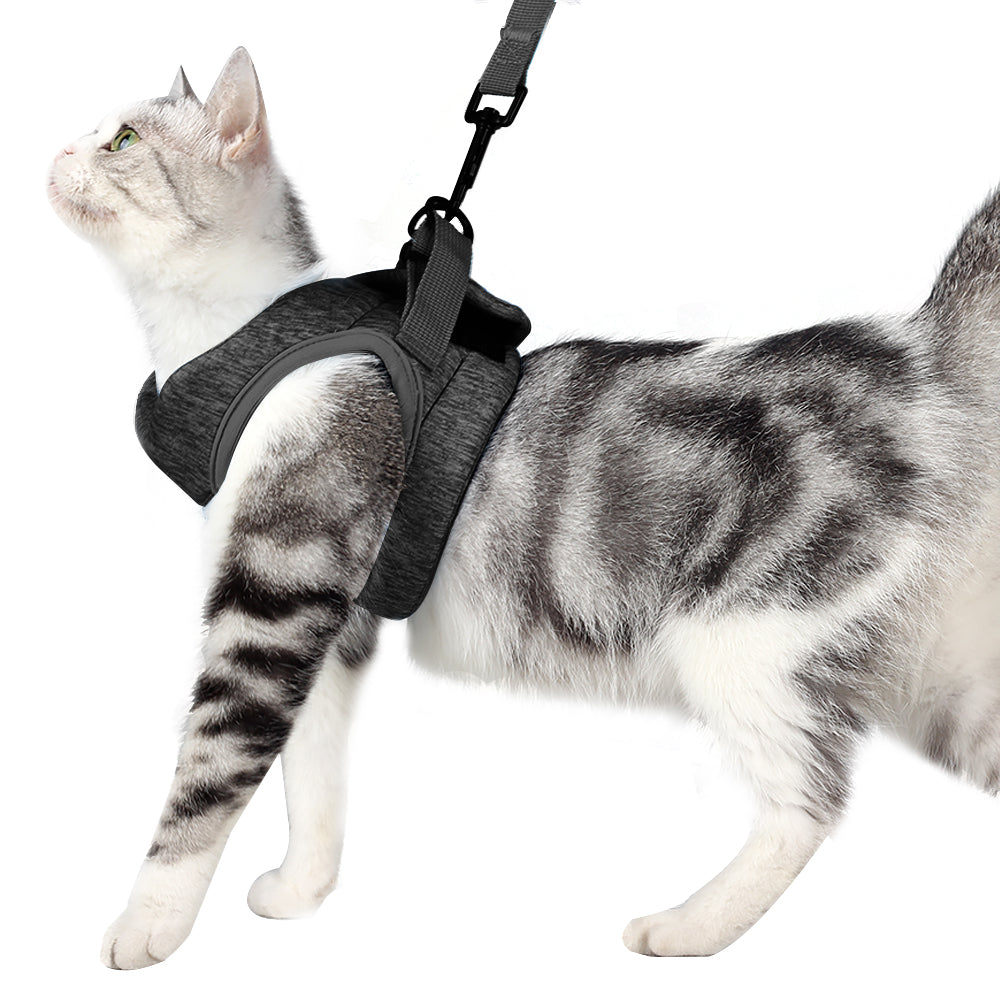 Cat Harness Leash Straps Soft and Comfortable Cat Walking Jacket with Running Cushioning and Escape Proof for Puppies with Cationic Fabric