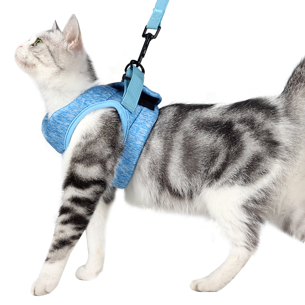 Cat Harness and Leash - Ultra Light Escape Proof Kitten Collar Cat Walking Jacket with Running Cushioning Soft and Comfortable Suitable for Puppies Rabbits