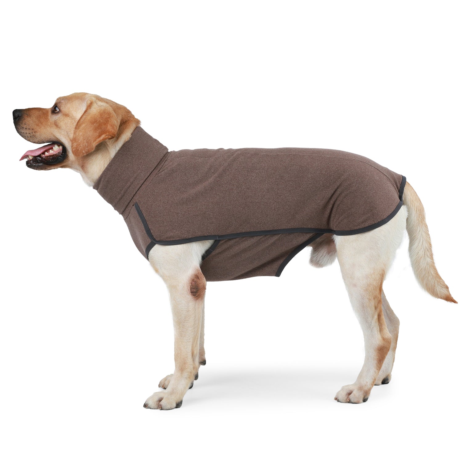 Dog Sweater