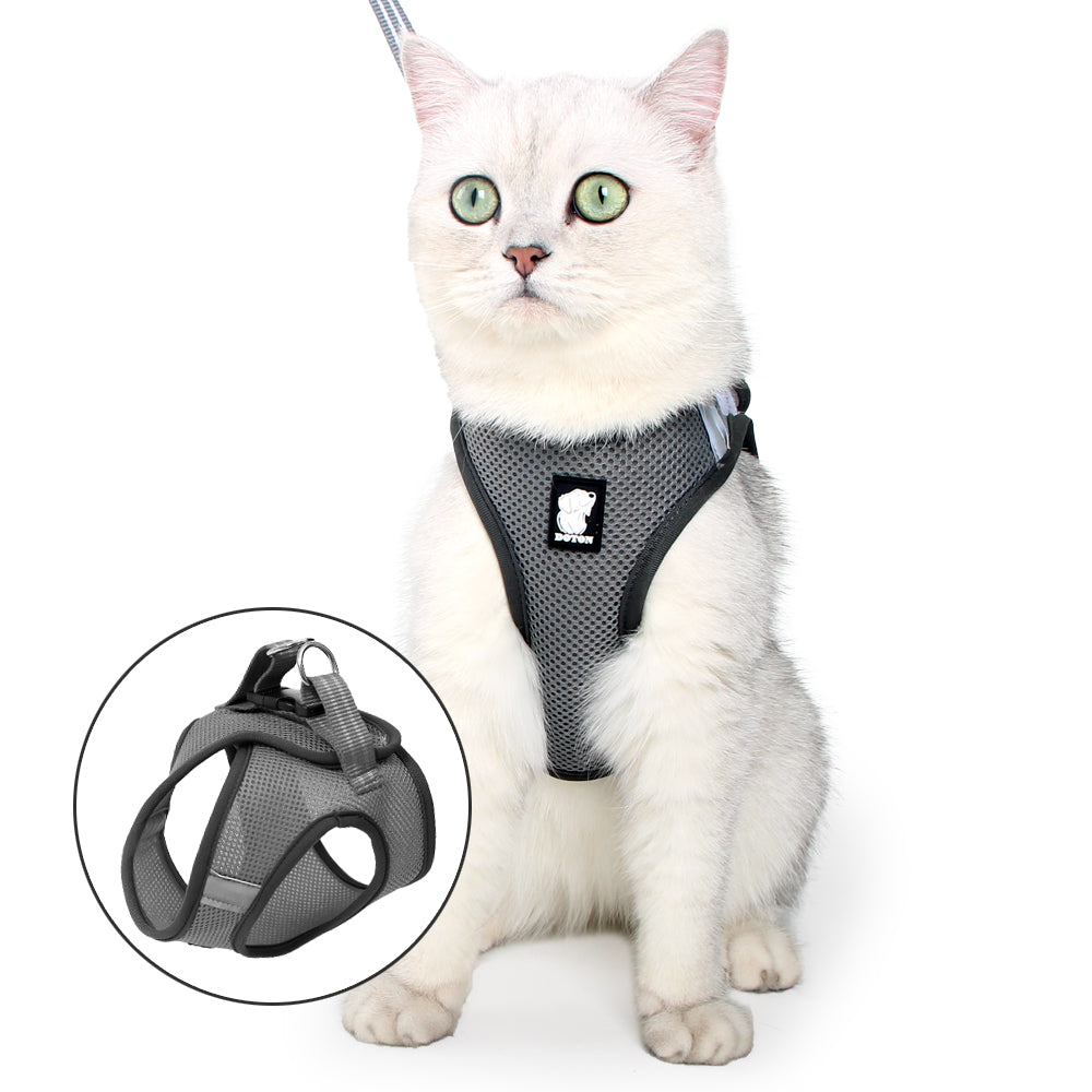 Cat Harness and Leash