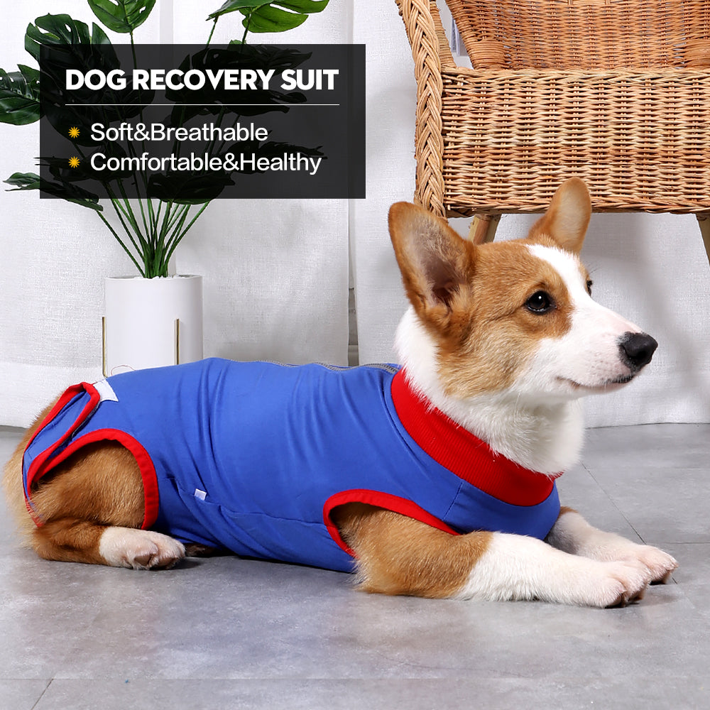 Dog Surgical Recovery Suit Onesie Breathable Abdominal Wounds and Protect Skin Prevent Licking Cone E Collar Alternative After Post-Operation Wear
