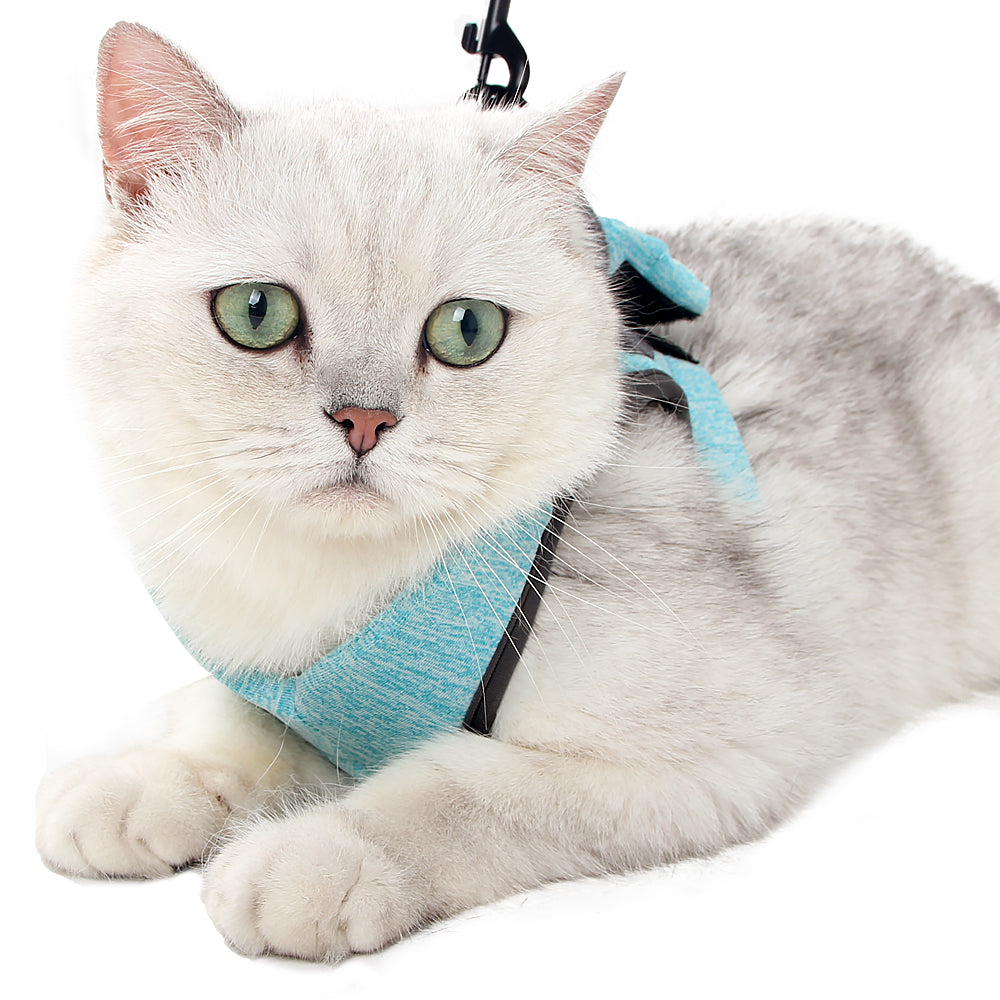 Cat Harness Leash Straps Soft and Comfortable Cat Walking Jacket with Running Cushioning and Escape Proof for Puppies with Cationic Fabric