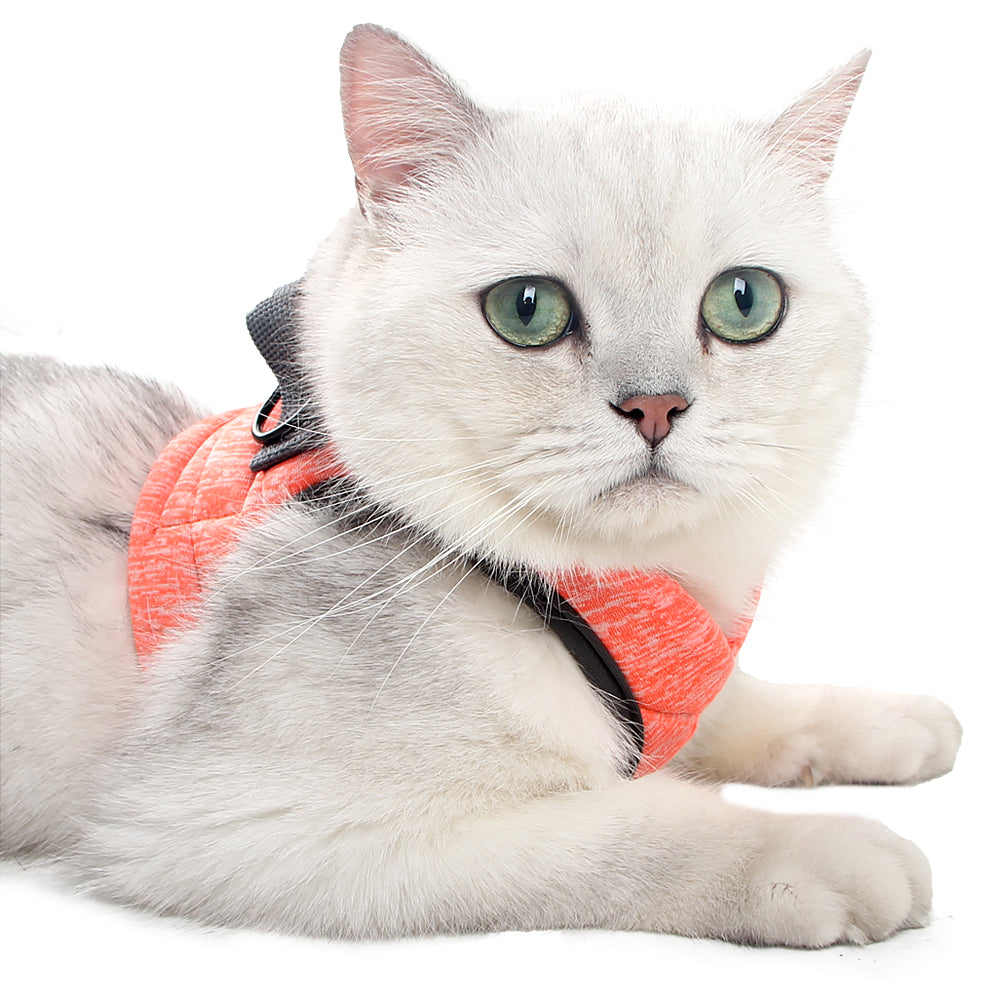 Cat Harness Leash Straps Soft and Comfortable Cat Walking Jacket with Running Cushioning and Escape Proof for Puppies with Cationic Fabric