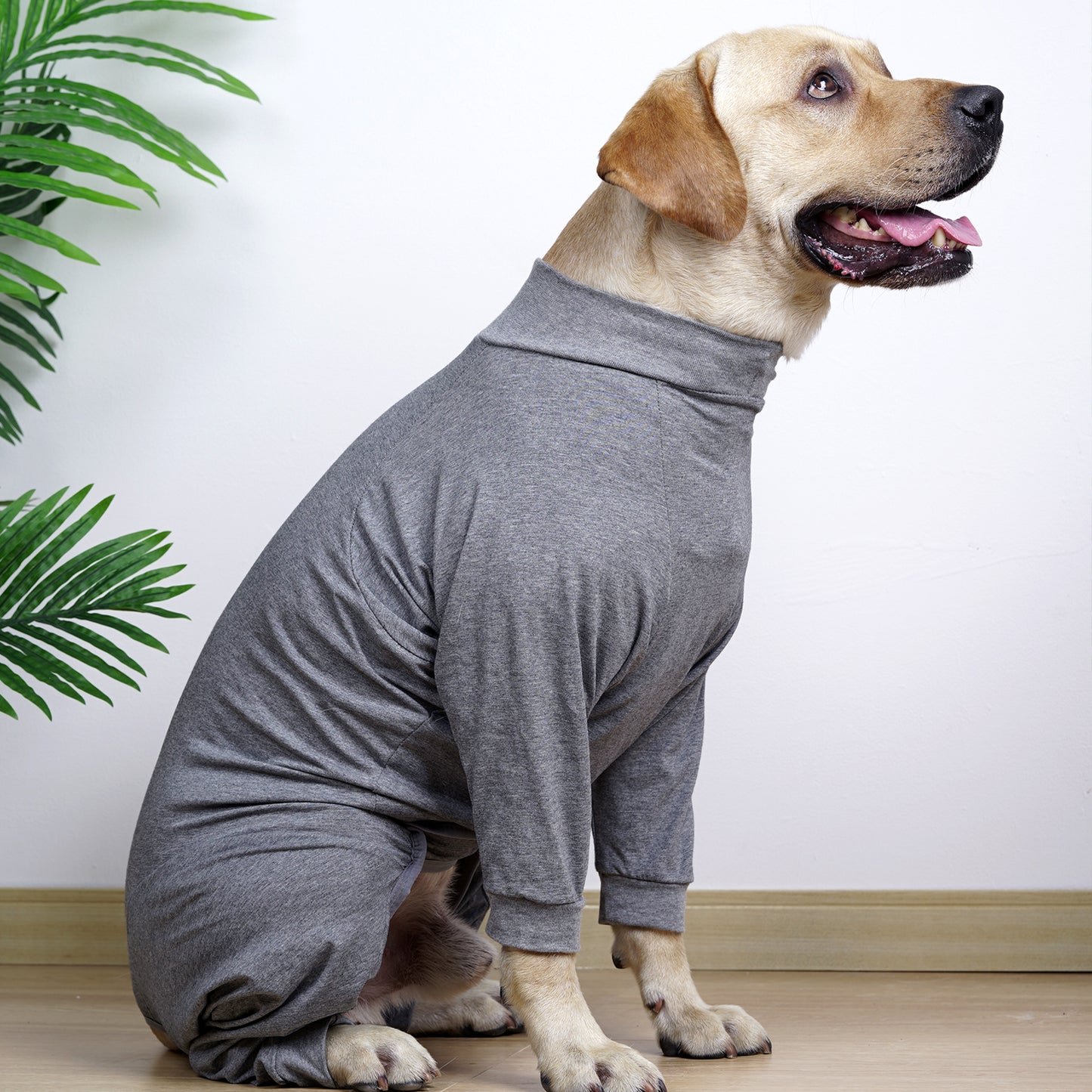 Dog Rehab Clothes Prevent Lick Wounds Electronic Collars and Cone Replacements