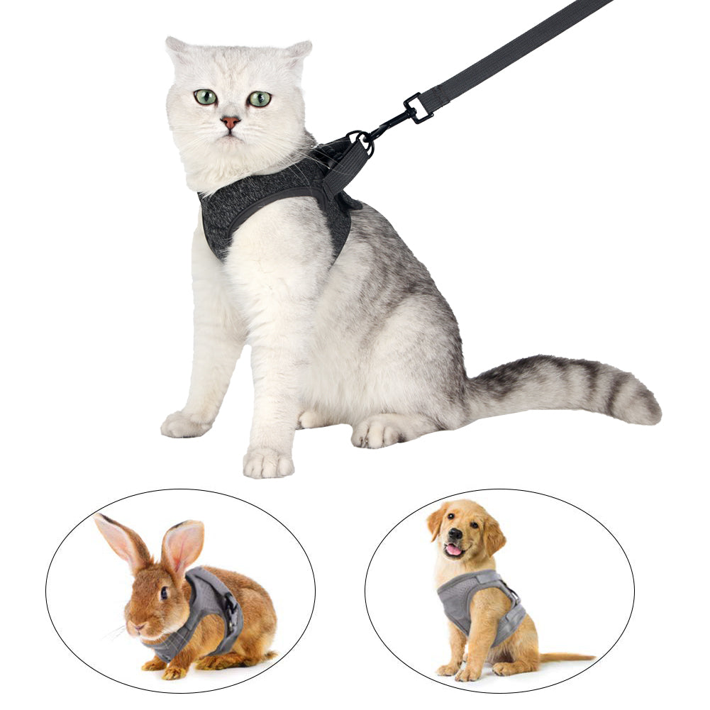 Cat Harness Leash Straps Soft and Comfortable Cat Walking Jacket with Running Cushioning and Escape Proof for Puppies with Cationic Fabric