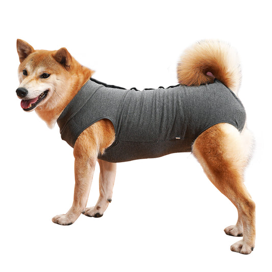 Dog Recovery Gown Abdominal Wound Surgical Gown Alternative E-Collar & Cone